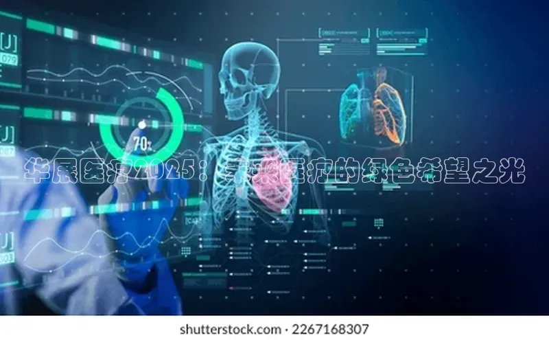 杏宇代理登录中心