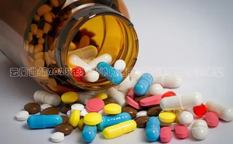 杏宇娱乐平台登录